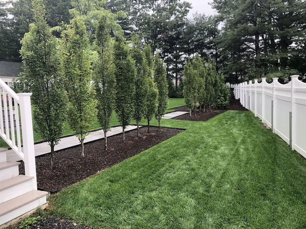 Bessbill Apartment 1 Bedroom Vacation Apartment Rentals Ogunquit Maine