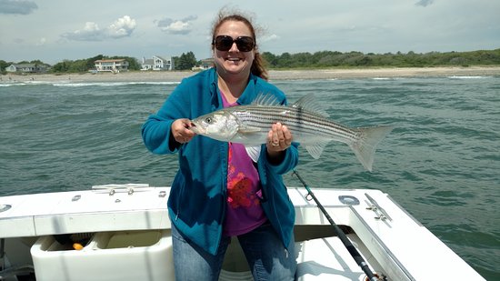 2 bedroom vacation home rentals Ogunquit Maine